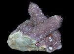 Cactus Quartz (Amethyst) Crystal Cluster - South Africa #64240-1